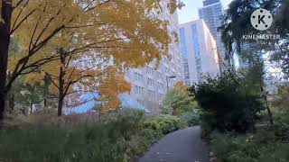 Discover Beside the Manulife Building [upl. by Sulrac160]