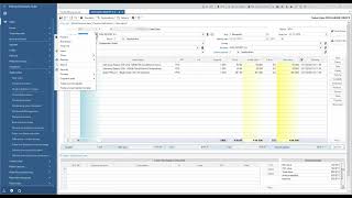 Entity fast preview  Entersoft Business Suite  EN [upl. by Aruol]