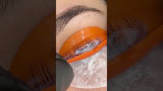 elleebana lash lift🧡 lashlifting lashliftandtint lashliftkit lashliftprocess lashlifttutorial [upl. by Nabe]