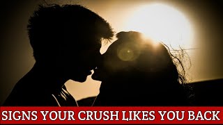 Psychological Facts About Crushes Signs Your Crush Likes You Back Crush Facts [upl. by Nairde]