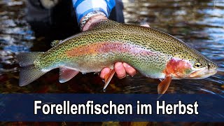 Fliegenfischen an der Deutschen Traun im Herbst mit Rudi Heger  Traum Ziel [upl. by Airetnuhs939]