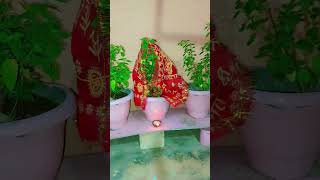 Tulsi bata deti hai ghar ki Disha kaisi hai tulsi Tulsi Katha [upl. by Leahcimdivad]