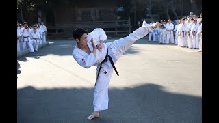 【新極真会 空手】SHINKYOKUSHINKAI KARATE Amazing KATA DEMONSTRATION 2024年鏡開き稽古・奉納演武型 渡邊大士 田中利奈 Martial arts [upl. by Llewen348]