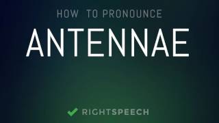 Antennae  How to pronounce Antennae [upl. by Grados]