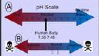 Clinical Application of Blood Gases Part II pH [upl. by Edvard]