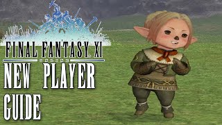 FFXI  New Player Guide  Part 1 The Basics [upl. by Jemima756]