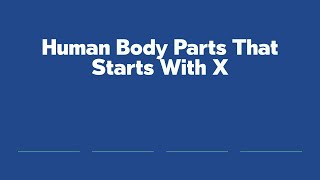 Human Body Parts That Starts With X [upl. by Sicnarf]