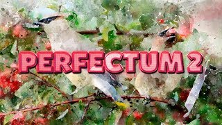 Perfectum 2 Effect in Adobe Photoshop CC 2019  Tutorial [upl. by Anot4]