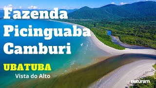 Praia da Fazenda Praia da Picinguaba Camburi e Bicas  Ubatuba Vista do Alto imagens aéreas [upl. by Iron]