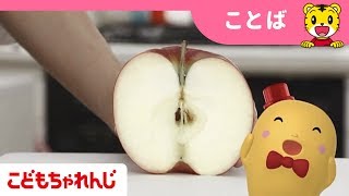 はてなんだくん「野菜と果物でクイズ！」＜こどもちゃれんじ＞しまじろう shimajiro 【しまじろうチャンネル公式】 [upl. by Pen]