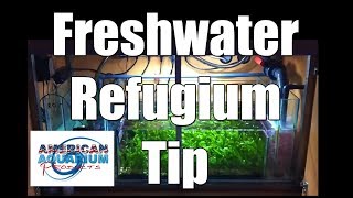 Trick Freshwater Refugium amp really saltwater sump refugium too [upl. by Lechar978]