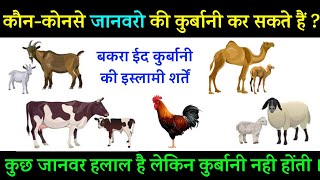 बकरा ईद 2023  कौनकोनसे जानवरो की कुर्बानी जायज़ हैं  Bakra Eid Islamic Shartein  Noore hadees [upl. by Anifares379]