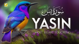 Surah Yasin Yaseen سورة يس  Beautiful voice heart touching  Zikrullah TV [upl. by Hackney298]