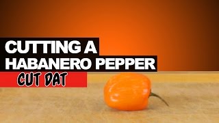 Cutting a Habanero Pepper [upl. by Amlez89]