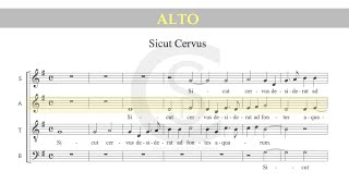 Sicut Cervus Palestrina ALTO part [upl. by Jara]