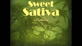 Fyah T feat Jerry Don amp Martin Trilla  Decent Draw Sweet Sativa Riddim [upl. by Haydon]