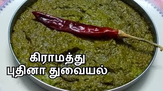 Pudina Thogayal in Tamil  புதினா துவையல்  Mint Thuvayal  Hotel Style Chutney Recipe  Mint Thokku [upl. by Sihtnyc]