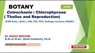 Coleochaete Thallus and Reproduction BSc I year MSc Botany [upl. by Heyman417]