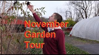 Fall Garden Tour [upl. by Taite689]