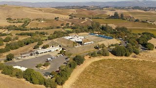 Artesa Vineyards amp Winery in Napa  Aerial View [upl. by Niven178]