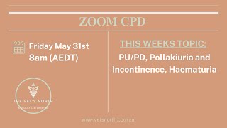 PUPD Pollakiuria and Incontinence Haematuria [upl. by Engdahl]