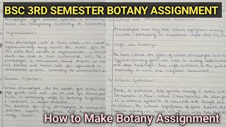 Bsc 2nd Year 3rd Semester Botany Assignment  Easy way to Make Botany Assignment📗Botany Assignments [upl. by Phelps958]