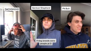 If dog breeds were human FunnyTiktok [upl. by Delmor]