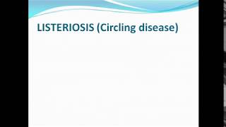 ListeriosisCircling disease ppt [upl. by Hermann]