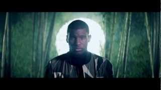 Wretch 32 ft Shakka  Blackout Official Video [upl. by Hessney]