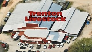 Trenton Livestock Auction Streamed Live [upl. by Criswell]