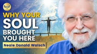 Why YOUR SOUL Brought You HERE  Your PURPOSE Is More OBVIOUS Than You Think  Neale Donald Walsch [upl. by Brantley]