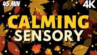 4k Calming Sensory Music Doze Into Falling Leaves Soothing Visuals [upl. by Nylknarf]