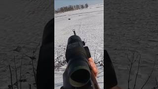 🐗 hunting chasse охота wildboar caccia hog [upl. by Yehs]