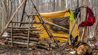 Overnight Bushcraft Camp with my Dog  Long Fire Wool Blanket Fire Reflector [upl. by Keyser841]