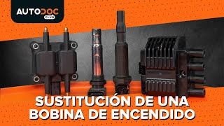 Сómo cambiar una bobina de encendido VÍDEO TUTORIAL DE AUTODOC [upl. by Ocirnor493]