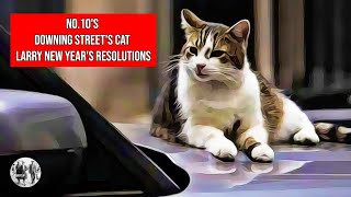 No10s Downing Streets Cat Larry  New Years resolutions [upl. by Arukas]