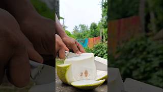 Worlds Largest Grapefruit Cutting🌎🌴🧐cuttingfruit shorts [upl. by Nitsreik]