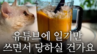 🔆불륜 피해자가 스토킹범죄자가 된 저와 같은 일을 겪으신 분들 ⛔️ 이메일로 저에게 제보 부탁 드립니다 스토킹처벌법 불륜 외도 경찰조사 [upl. by Enej]