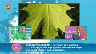 Kireçlenme için kür  Sağlıklı Mutlu Huzurlu 95 Bölüm  atv [upl. by Khalin]