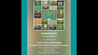 Kodachrome cover song Paul Simon [upl. by Sirac]