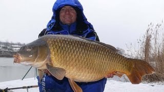 Döme Gábor  Hideg vízi pontyhorgászat feederrel 7 rész  Részeges pontyok Miszláról [upl. by Lemaceon892]