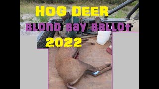 Blond Bay Hog Deer Ballot Victoria Australia [upl. by Grimona36]