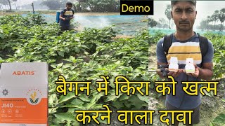 👉Demo Abatis product l 704बैगन में दावा स्प्रे कब्रिंजल 704vegetable Randhir kushwahakheti [upl. by Enayd]