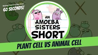 Plant vs Animal Cell  Amoeba Sisters Shorts [upl. by Anwahsiek]