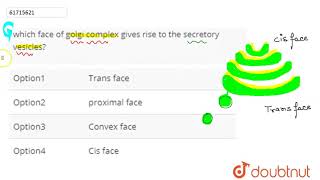 which face of golgi complex gives rise to the secretory vesicles [upl. by Yliab]