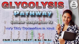 GLYCOLYSIS PATHWAY Explain in Detail  Hindi Explanation  Biochemistry [upl. by Adlaremse]