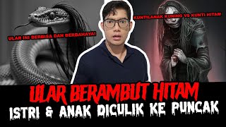 LAH LOK KOK UJUNGNYA JADI BEGINI EH ADA ULAR BERAMBUT  TC [upl. by Tonye]