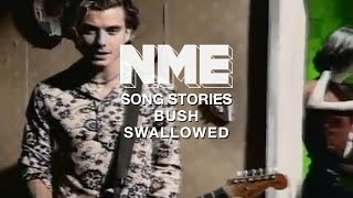 Bush Swallowed  NME Song Stories [upl. by Vtarj]