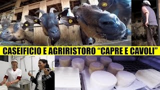 Allevamento Caseificio e Agriristoro Capre e Cavoli [upl. by Dnilasor]