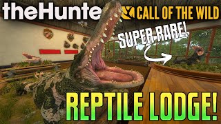 The BEST Crocodile amp Alligator Trophy Lodge on YouTube  Call of the Wild [upl. by Creamer948]